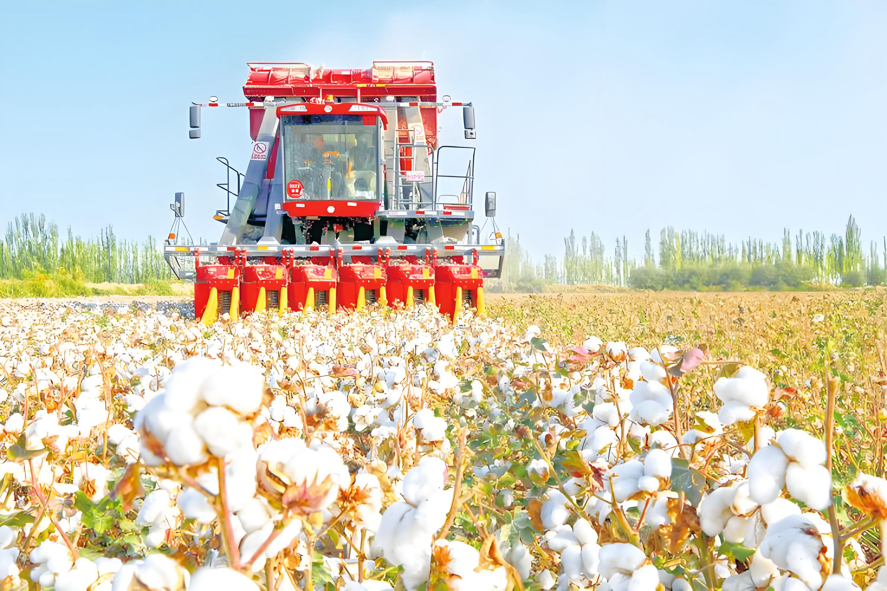 棉花朵朵開 機收好豐景 “棉花院士”點贊